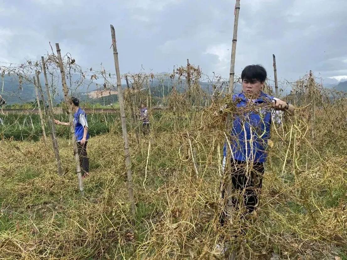 2ea5cb0325c6550e38334fc3ba1346e2055af563