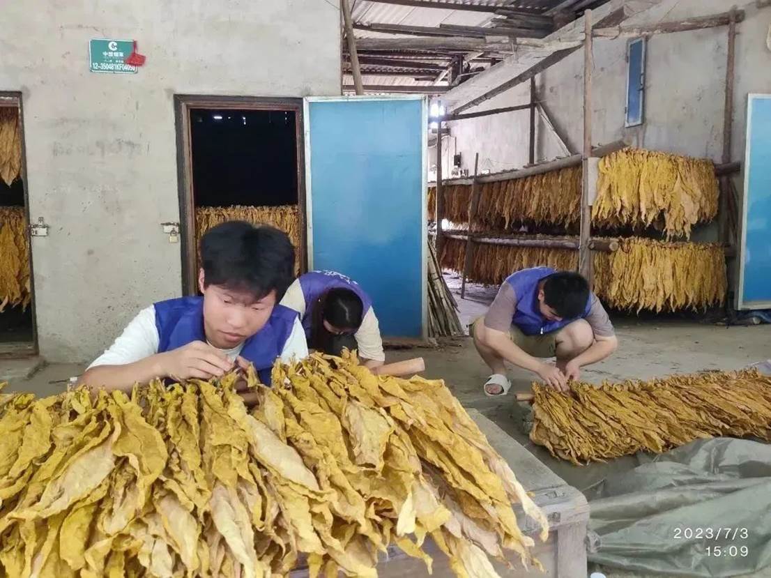 e4ef638ff2ba9ed2178e3ab1af92abd4df4cd1c9