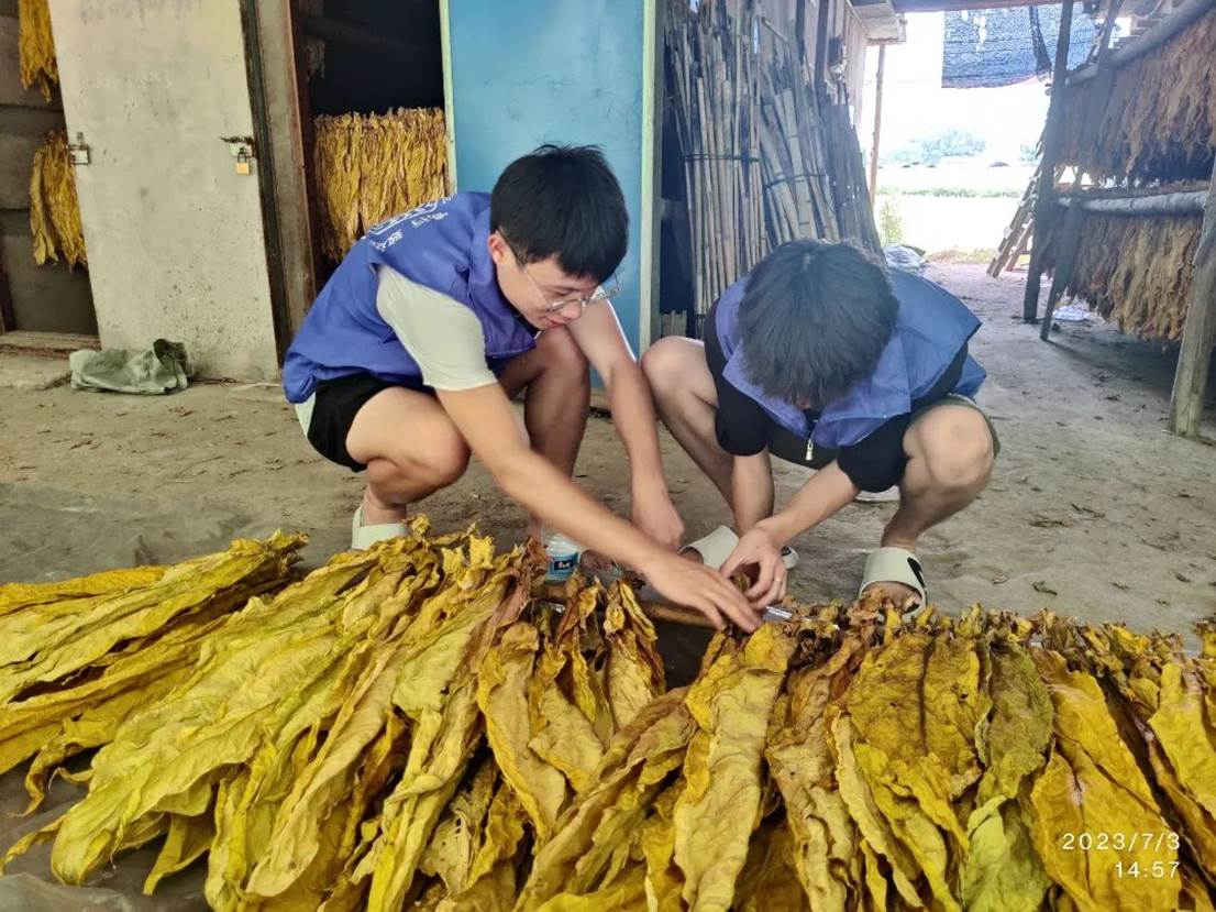 5c8da18a556ba5b066c3f25ad16665b679fa994e