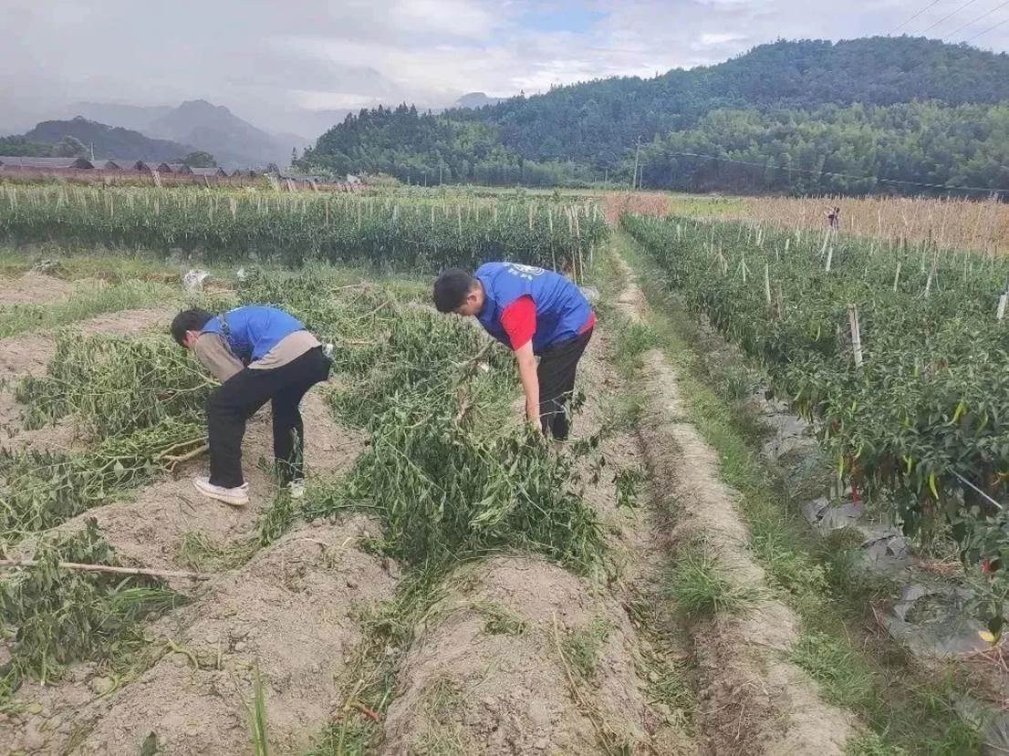 ee8f199dc283cc93d1477bf3789b91e877a81d5f