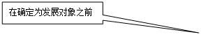 矩形标注: 在确定为发展对象之前