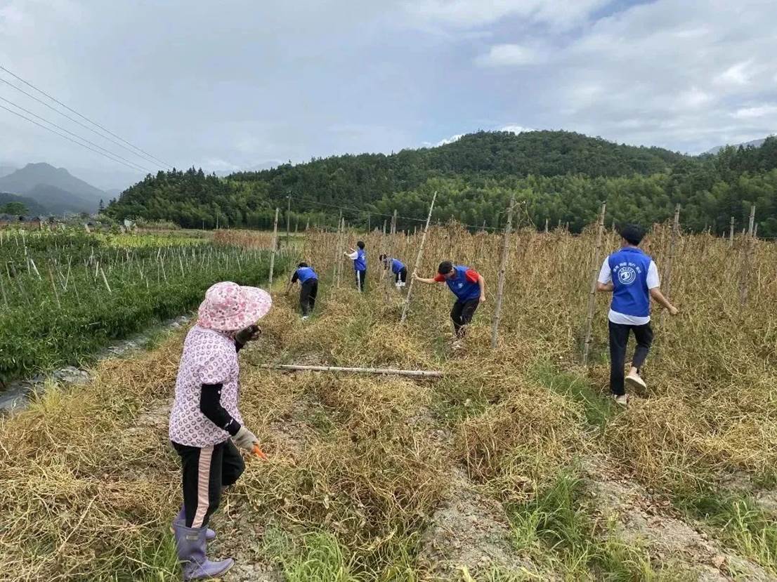 07fbbb132a48ab006c7c70756d8ab3beda27a11d