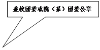 矩形标注: 盖校团委或院（系）团委公章