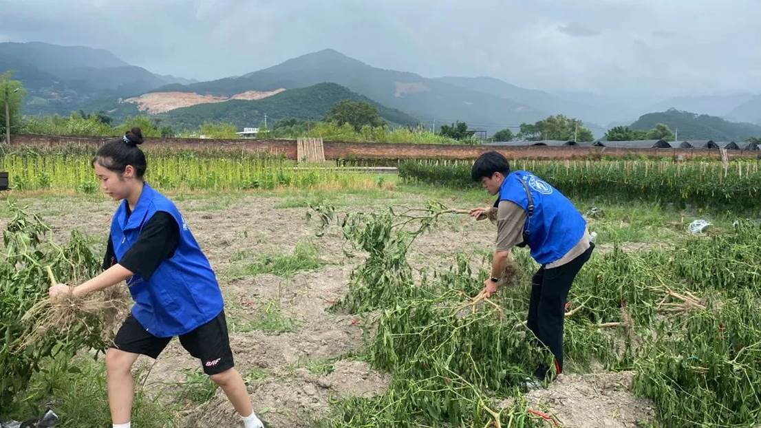 e27e172410dc53a20e7fe7045a1be4855d76ada3