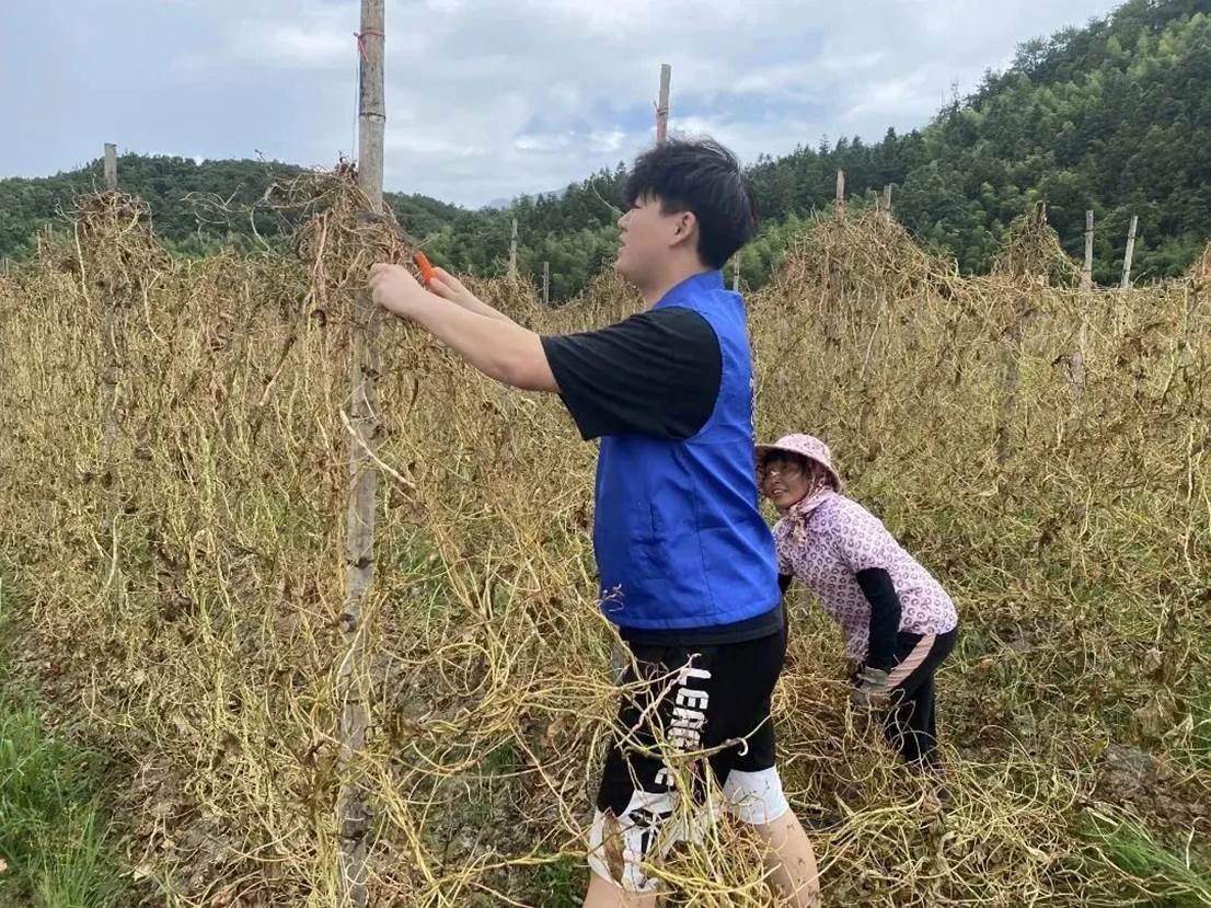 20c4a085ae8d5a1f29d1cbcad612a4cc09ceaa33