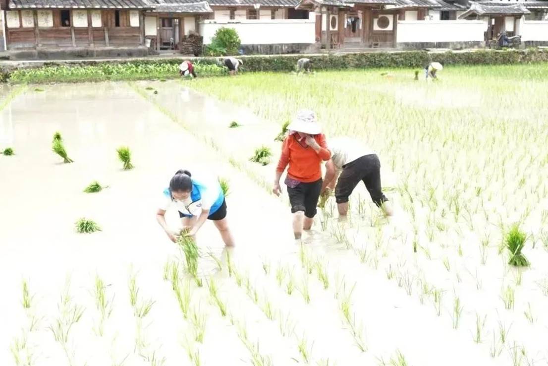 98c99044f814c573fe6b3f755f31d3790baf0292