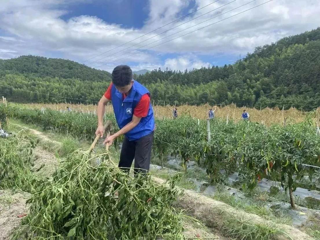 b8f0e7863a14e9d4e0da15b462fb63c8b4fa7591