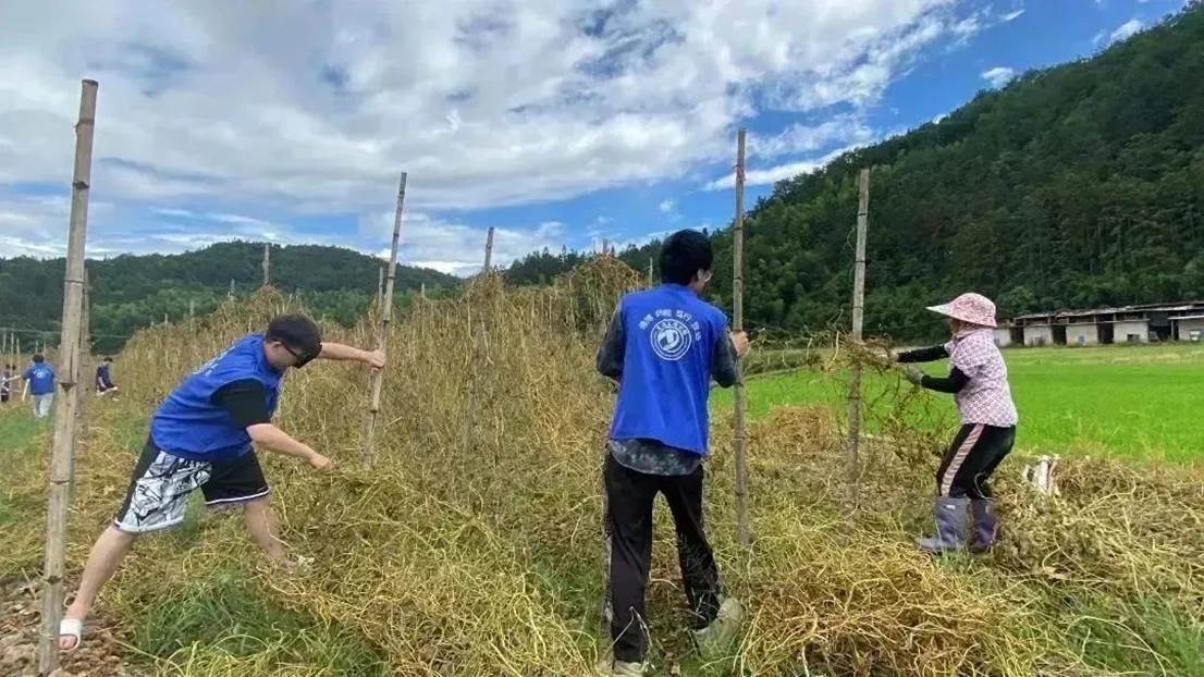 5d1d8219abc9e08b269713f45eace0105ae58b4d