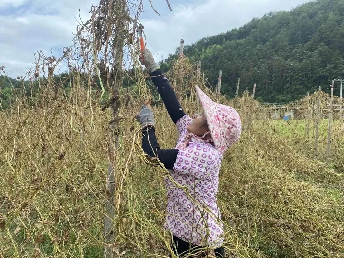 042661844af0a01a111ecf53672ca021c4b41662