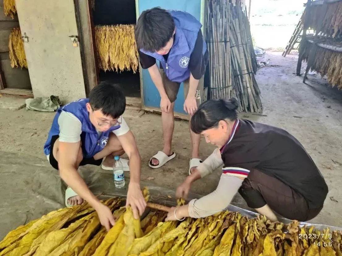 ddc922c13a5759f6510f4039a57f7d192ebf3117