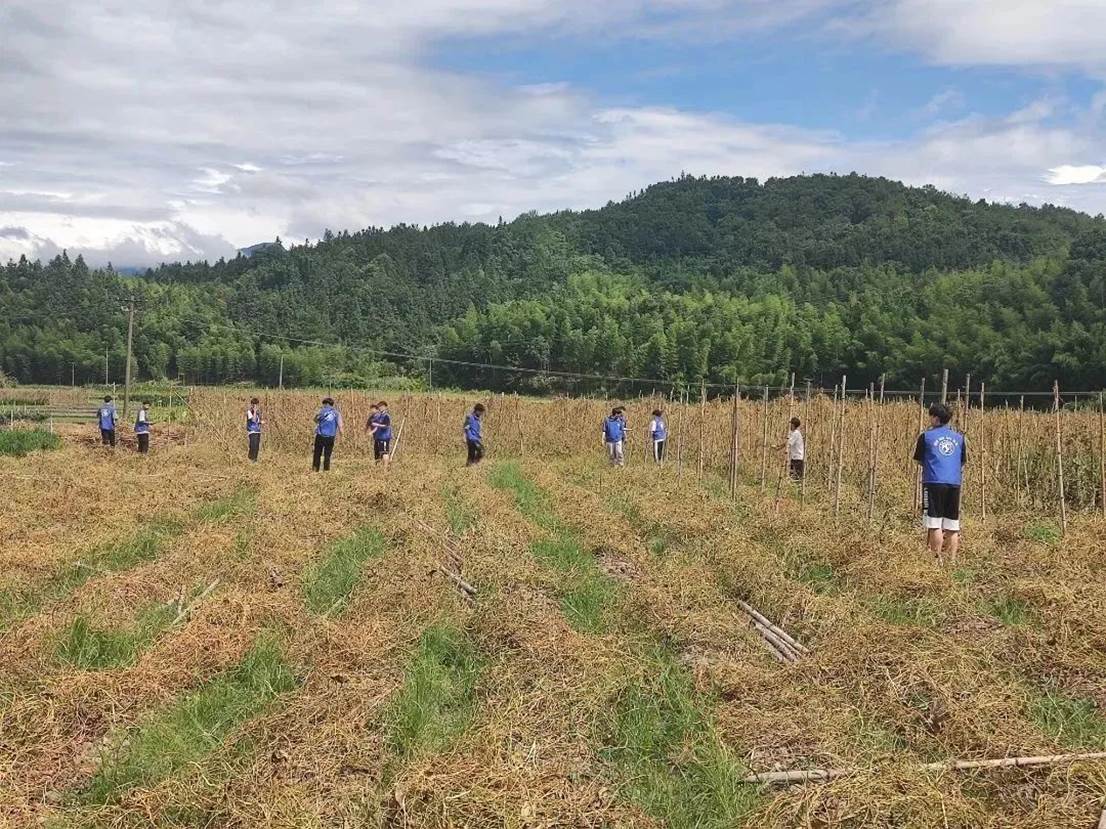 b0cdeaa3af551f93123b0139f583d054c9df20b9