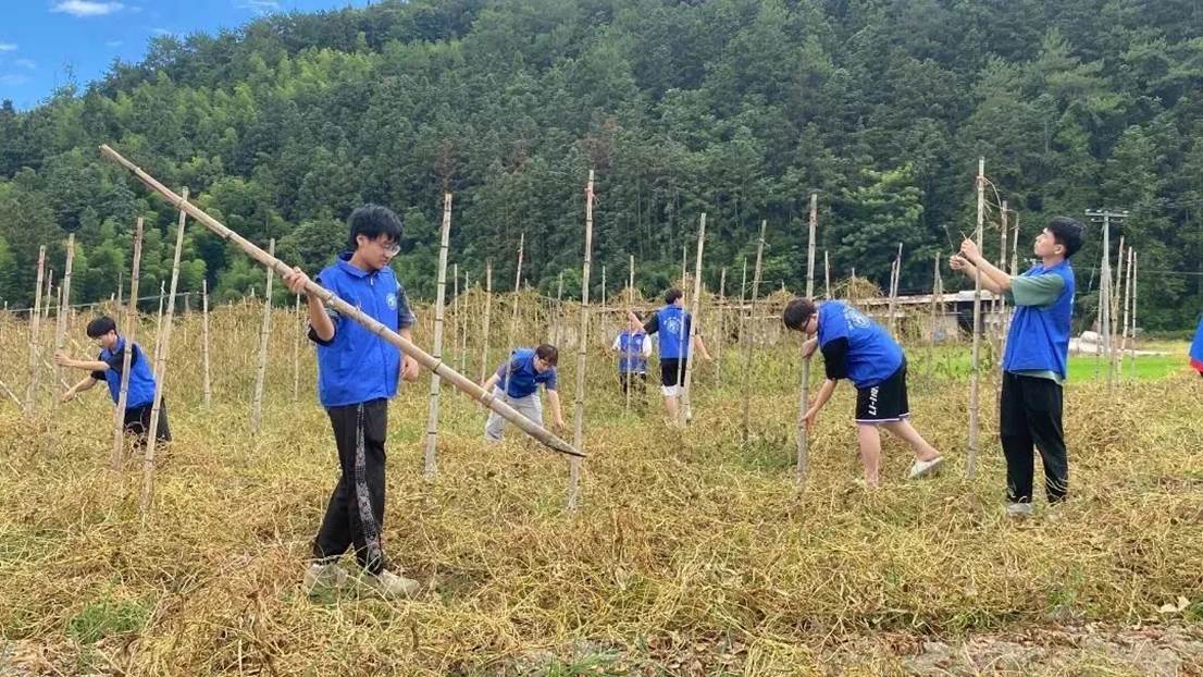 42c631bd616876a847d63725718fed77693efbb3