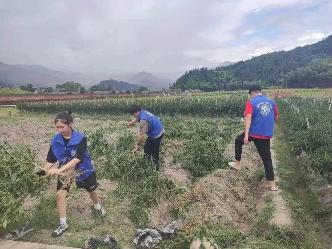 a299ea627d2802a68d8ca3e30d923d53c526622d