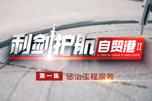 《利剑护航自贸港Ⅱ》