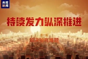 《持续发力 纵深推进》